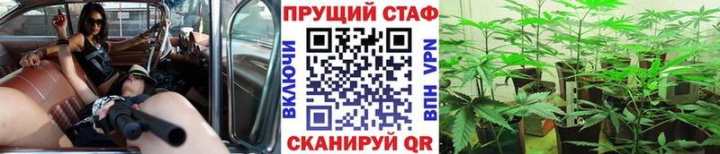 Купить закладку ГАШ  Метадон  Меф  Дорогобуж