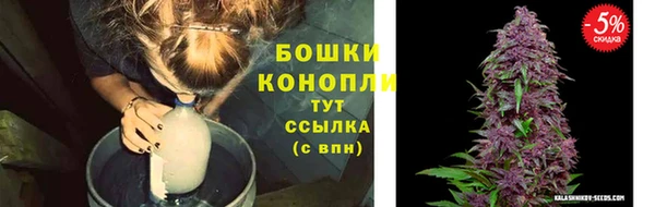MESCALINE Аркадак