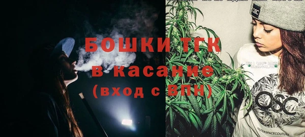 крисы Армянск