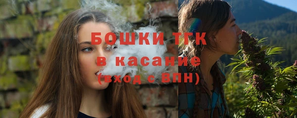 крисы Армянск