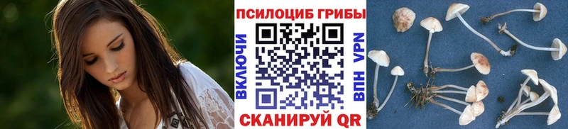 Галлюциногенные грибы GOLDEN TEACHER Дорогобуж