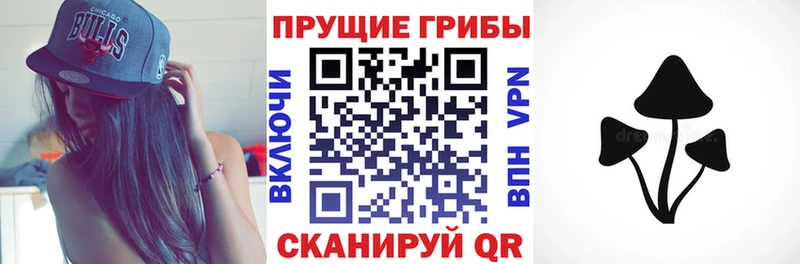 Купить где  Дорогобуж  Галлюциногенные грибы Psilocybe 